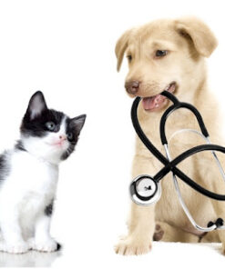 PET HEALTH PRODUCTS